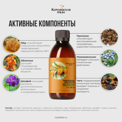 КОМПОЗИЦИЯ ЭКСТРАКТОВ "ЖЕЛУДОК", 100 мл